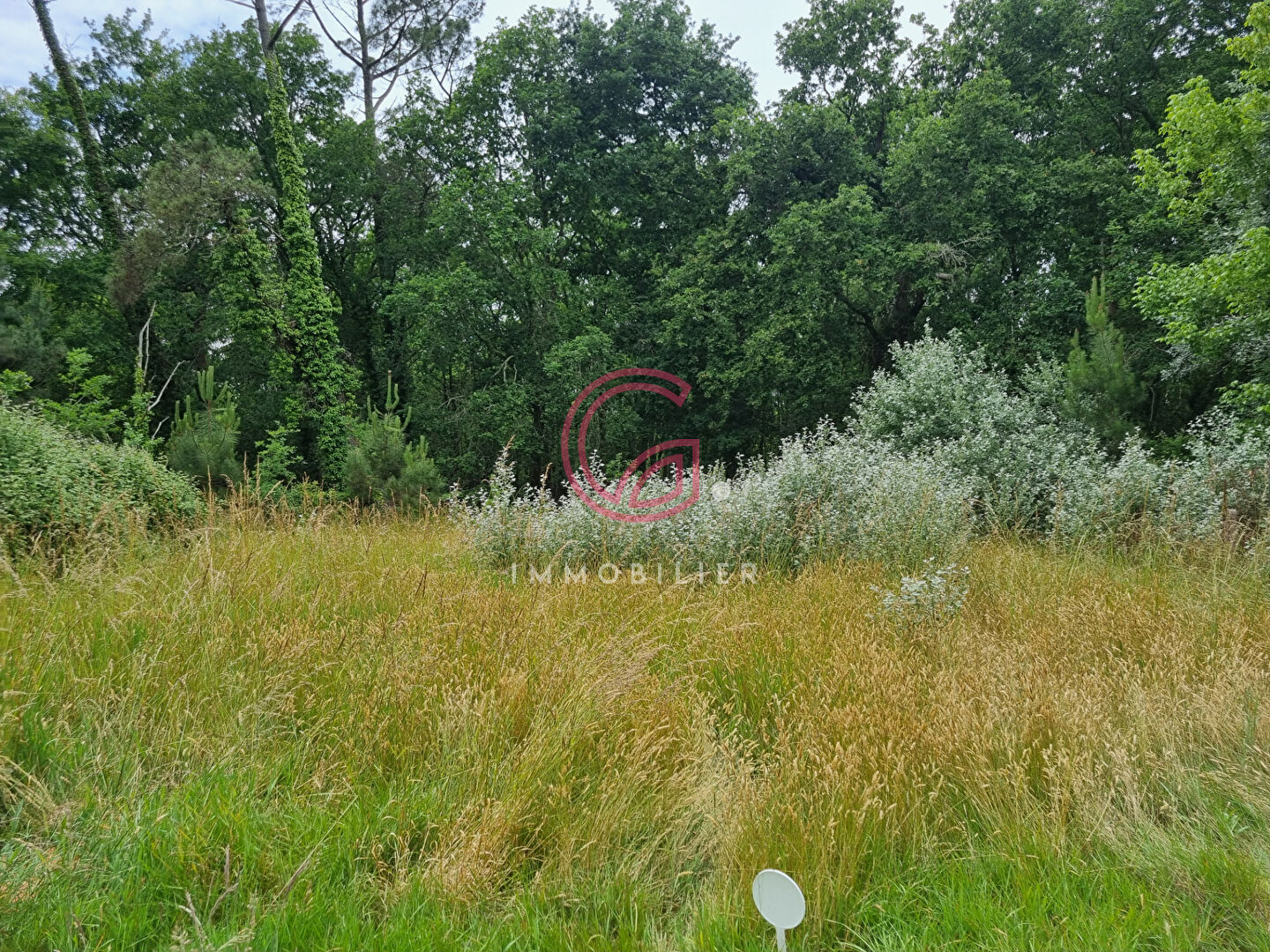 TERRAIN CONSTRUCTIBLE EN BORD DE FORET ET PROCHE LAC DE SANGUINET