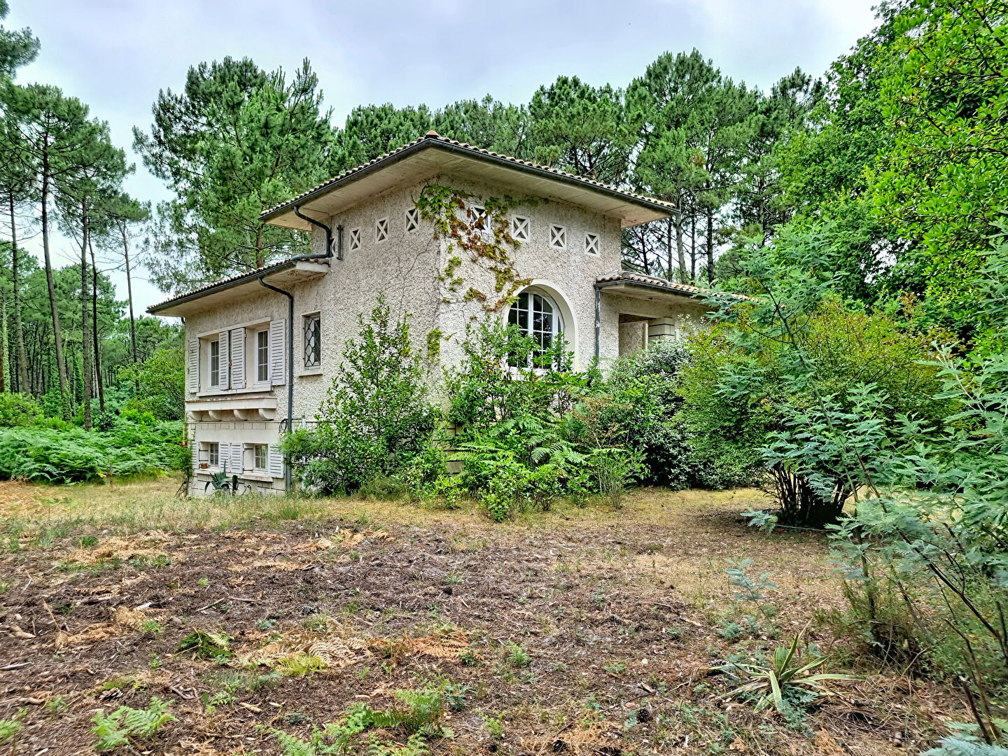 Agence immobilière de GOSSELIN IMMOBILIER - BISCARROSSE - GOSSELIN IMMOBILIER - BISCARROSSE