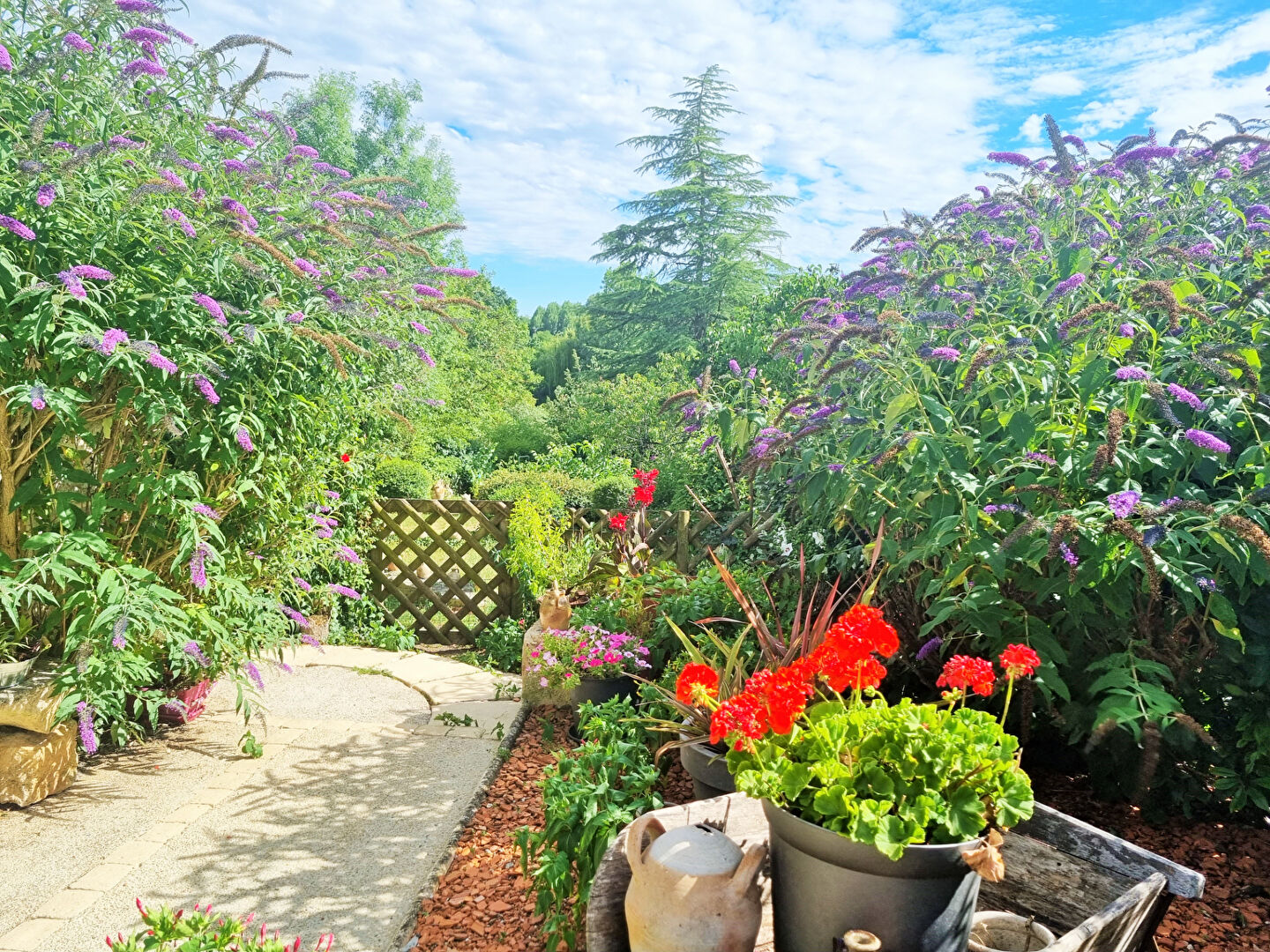 Photo Maison ancienne, 25 min de Niort image 5/6