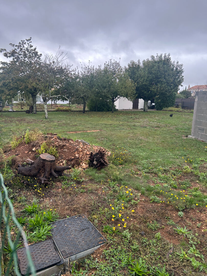 Photo AIFFRES BEAU TERRAIN A BATIR DE 763 m2 image 2/2