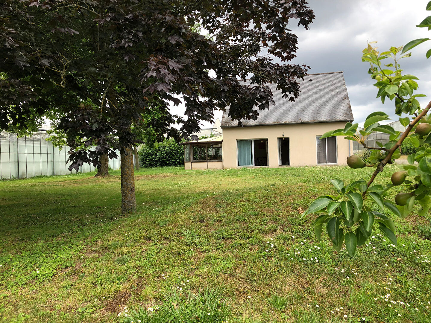 Photo Maison Sainte Gemmes Sur Loire 139 m2 image 3/6