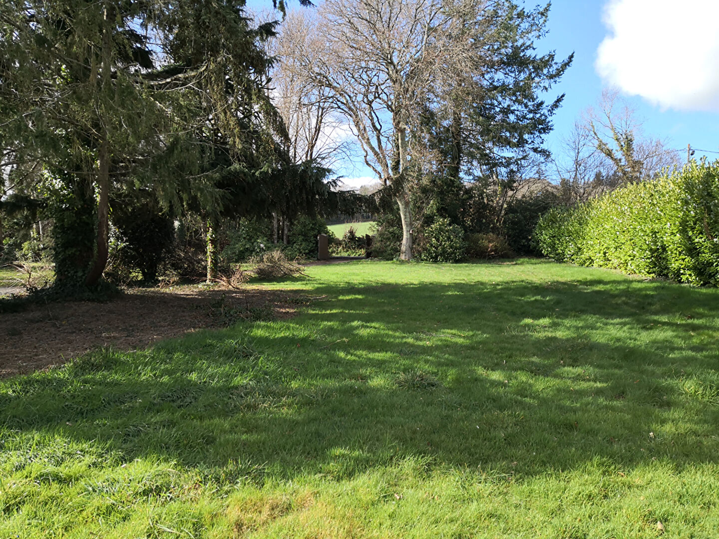 Photo Terrain La Forest-landerneau 700 m2 image 2/3