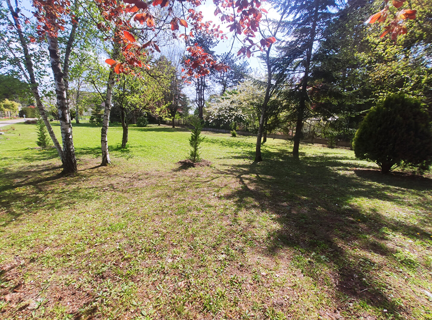 Photo Terrain à bâtir Saint Ay 879 m2 image 5/6