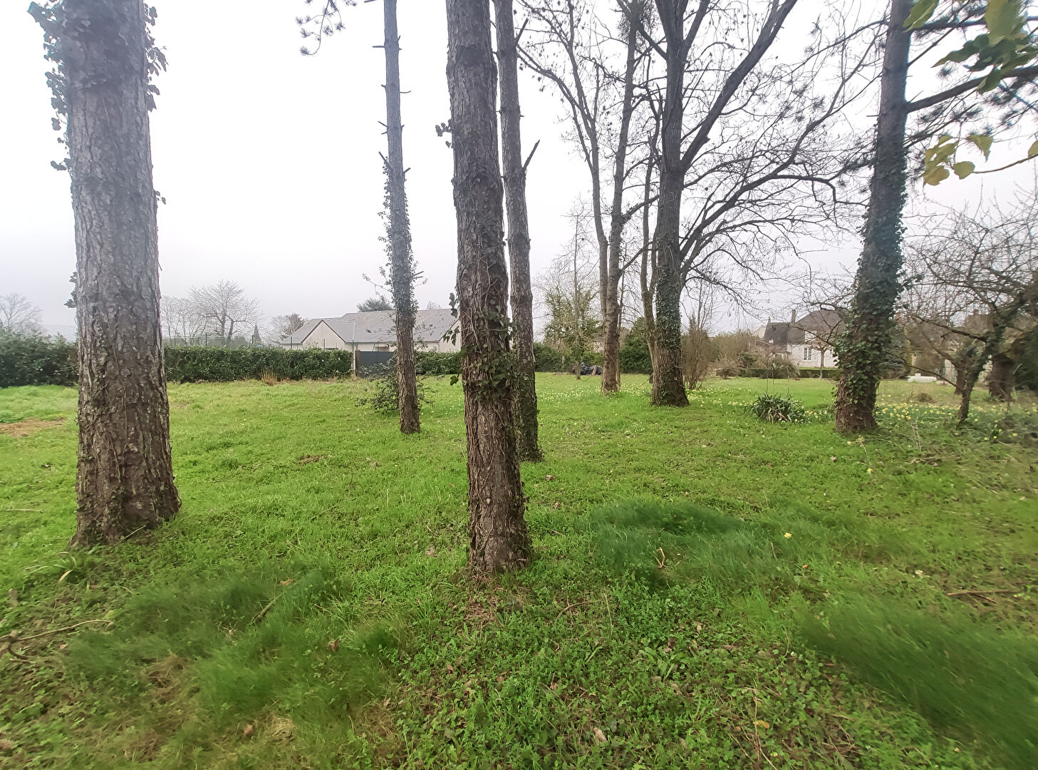 Photo Terrain libre constructeur - LE BARDON image 2/6