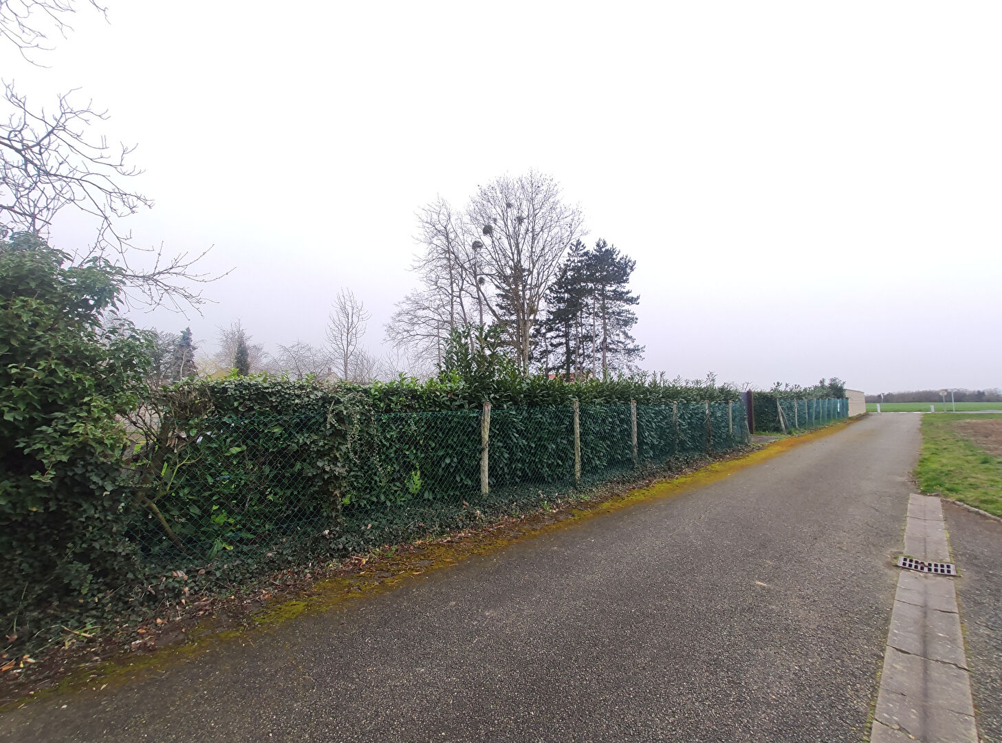 Photo Terrain libre constructeur - LE BARDON image 4/6