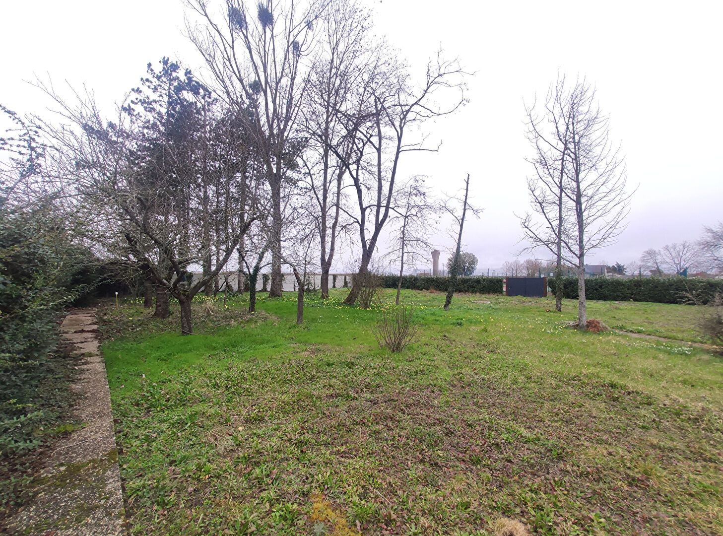 Photo Terrain libre constructeur - LE BARDON image 5/6