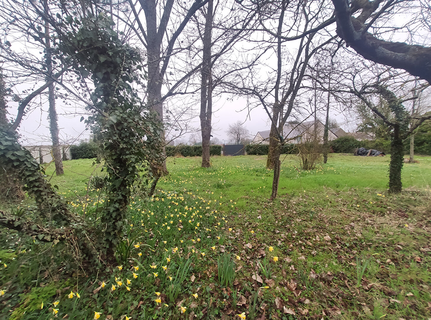 Photo Terrain libre constructeur - LE BARDON image 6/6