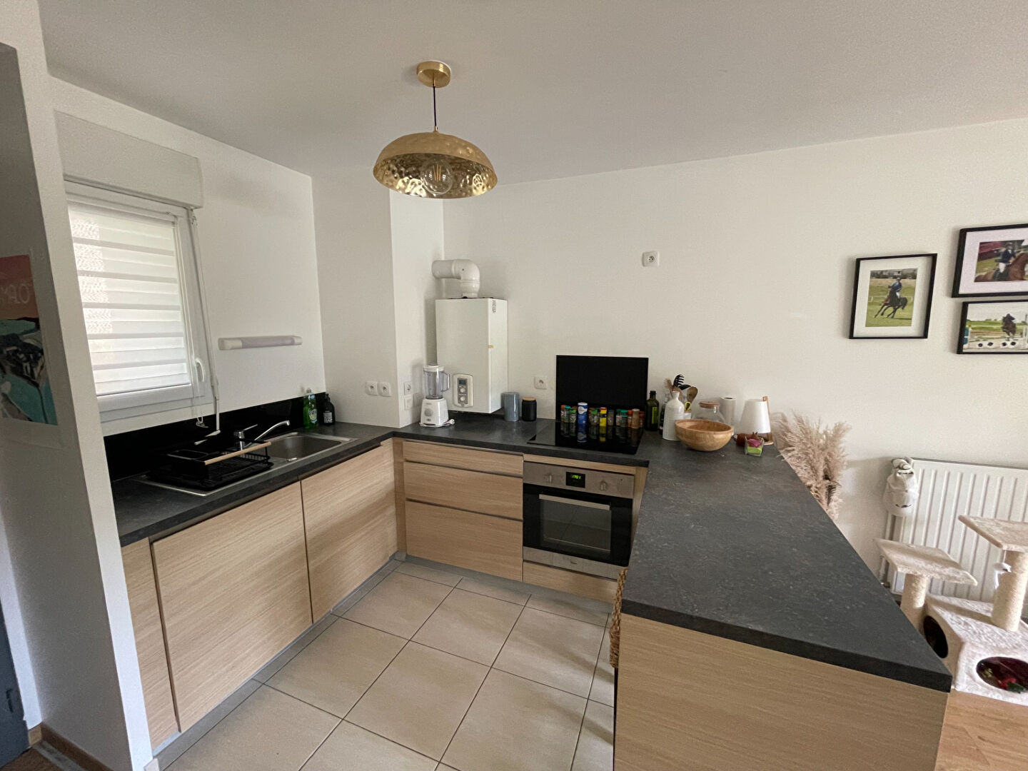 Photo Appartement T2 MEUBLE - TERRASSE - JARDIN image 3/6