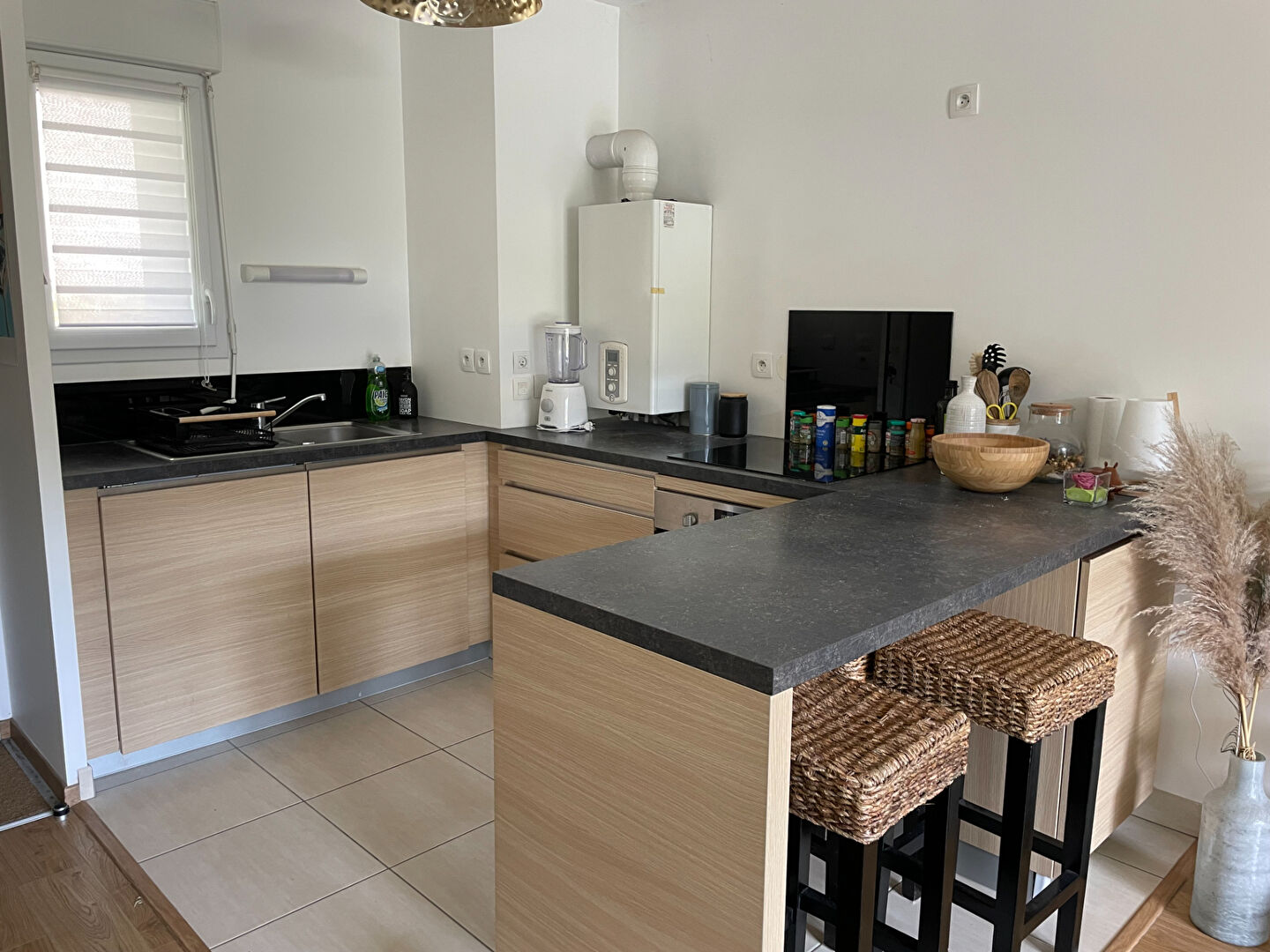 Photo Appartement T2 MEUBLE - TERRASSE - JARDIN image 4/6