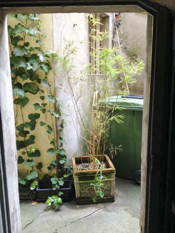 Photo DÉJÀ VENDU PAR HUGO IMMOBILIER & ASSOCIES !!! BORDEAUX CHARTRONS PROCHE PLACE PICARD - IMMEUBLE MIXTE 4 LOTS D'ENVIRON 270M² image 6/6