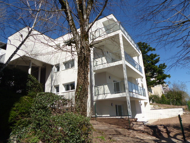 Agence immobilière de Immobilier Yves Passaga