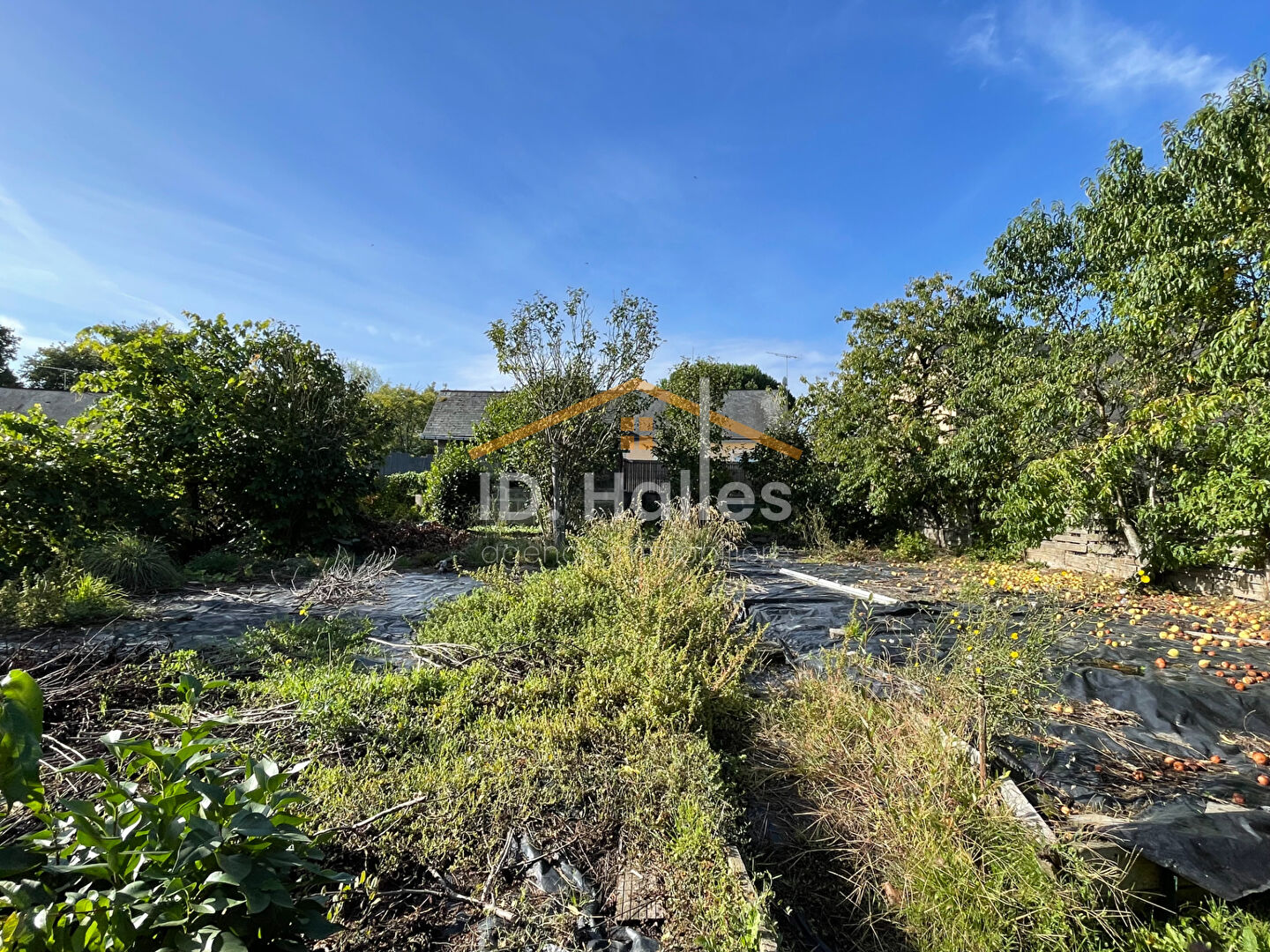 Photo Idéale 1er achat ou investissement locatif ! image 4/6