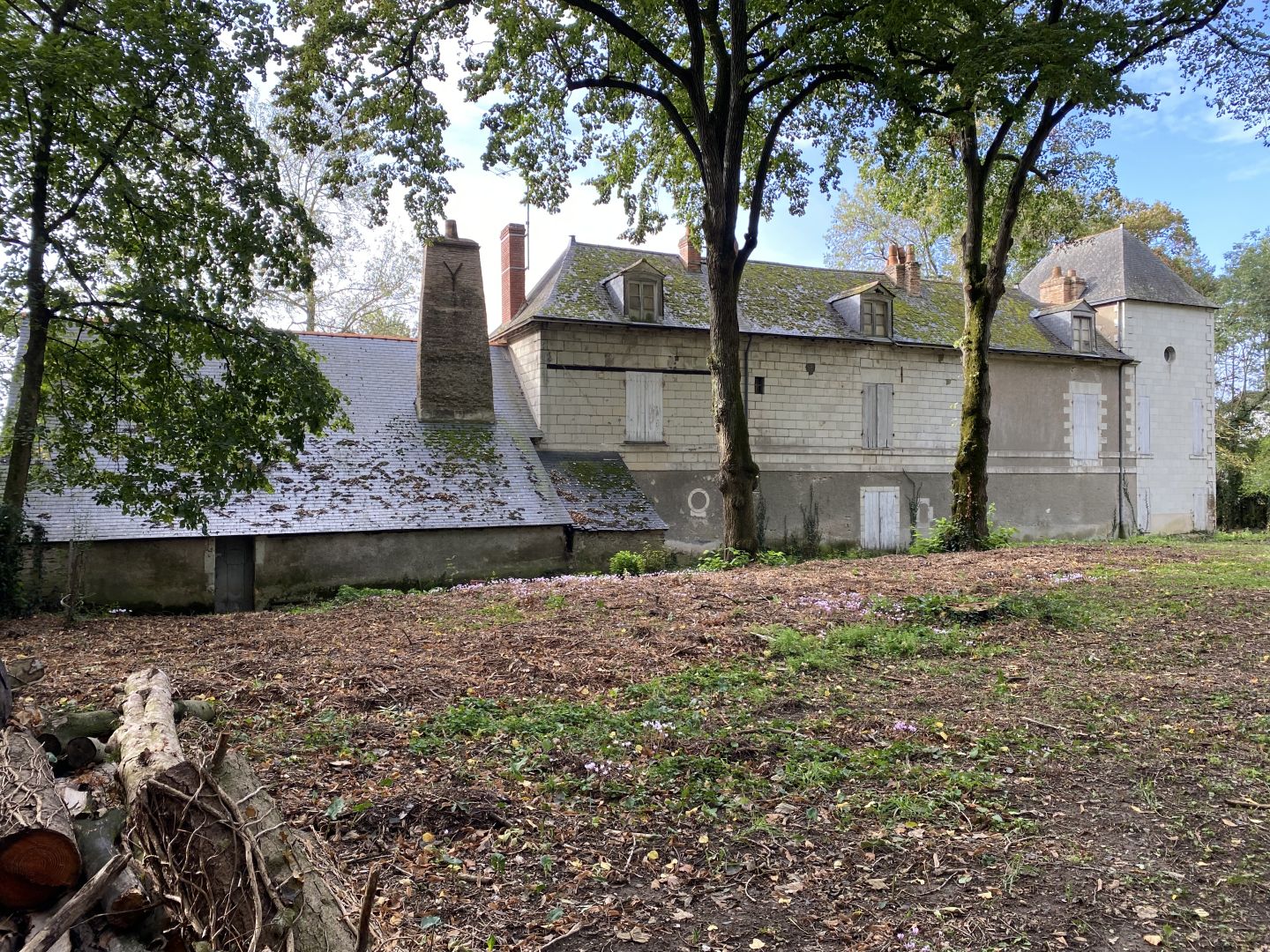 Photo Appartement - 2 pièces - Angers image 5/6