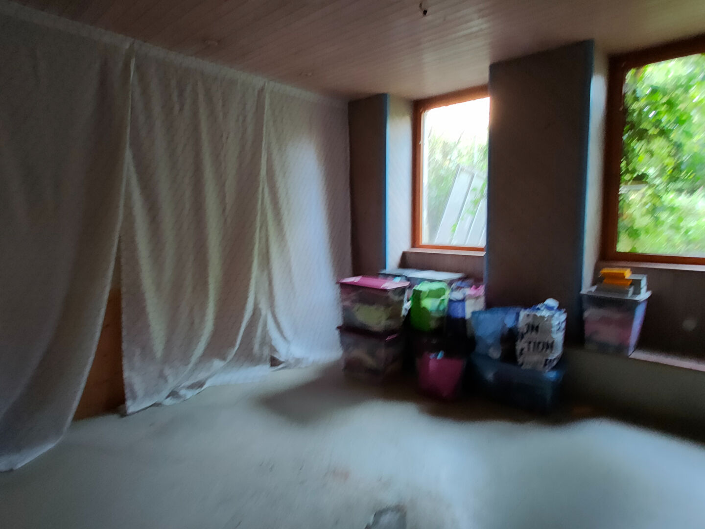 Photo ENORME POTENTIEL ! image 3/6