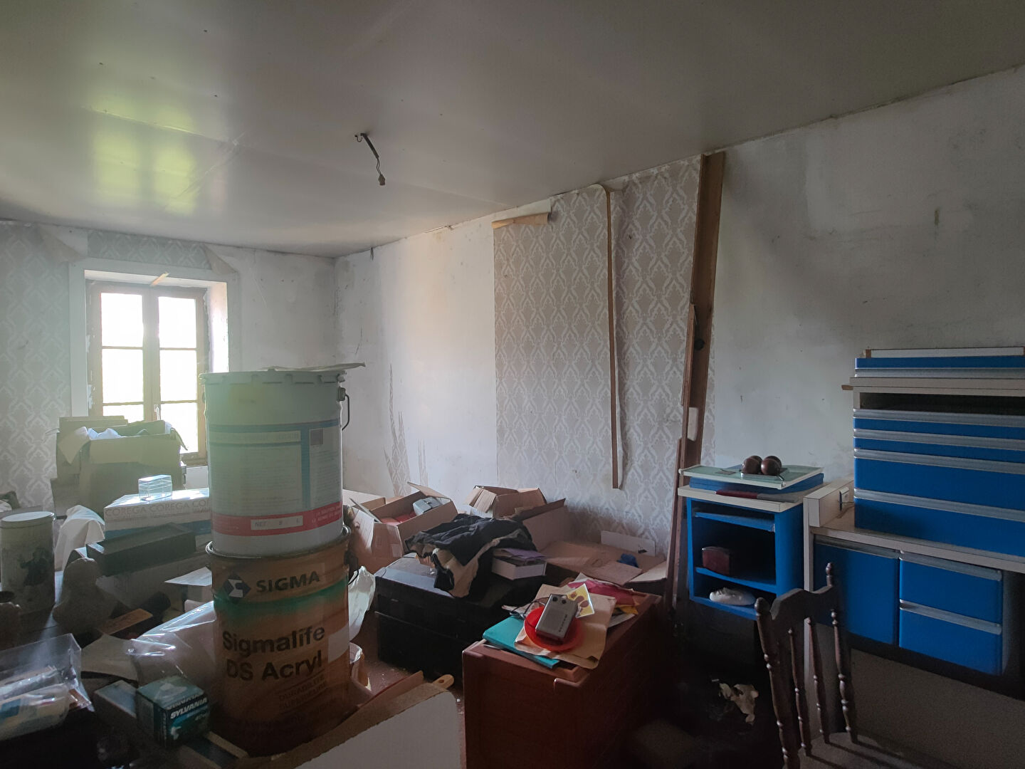 Photo ENORME POTENTIEL ! image 4/6