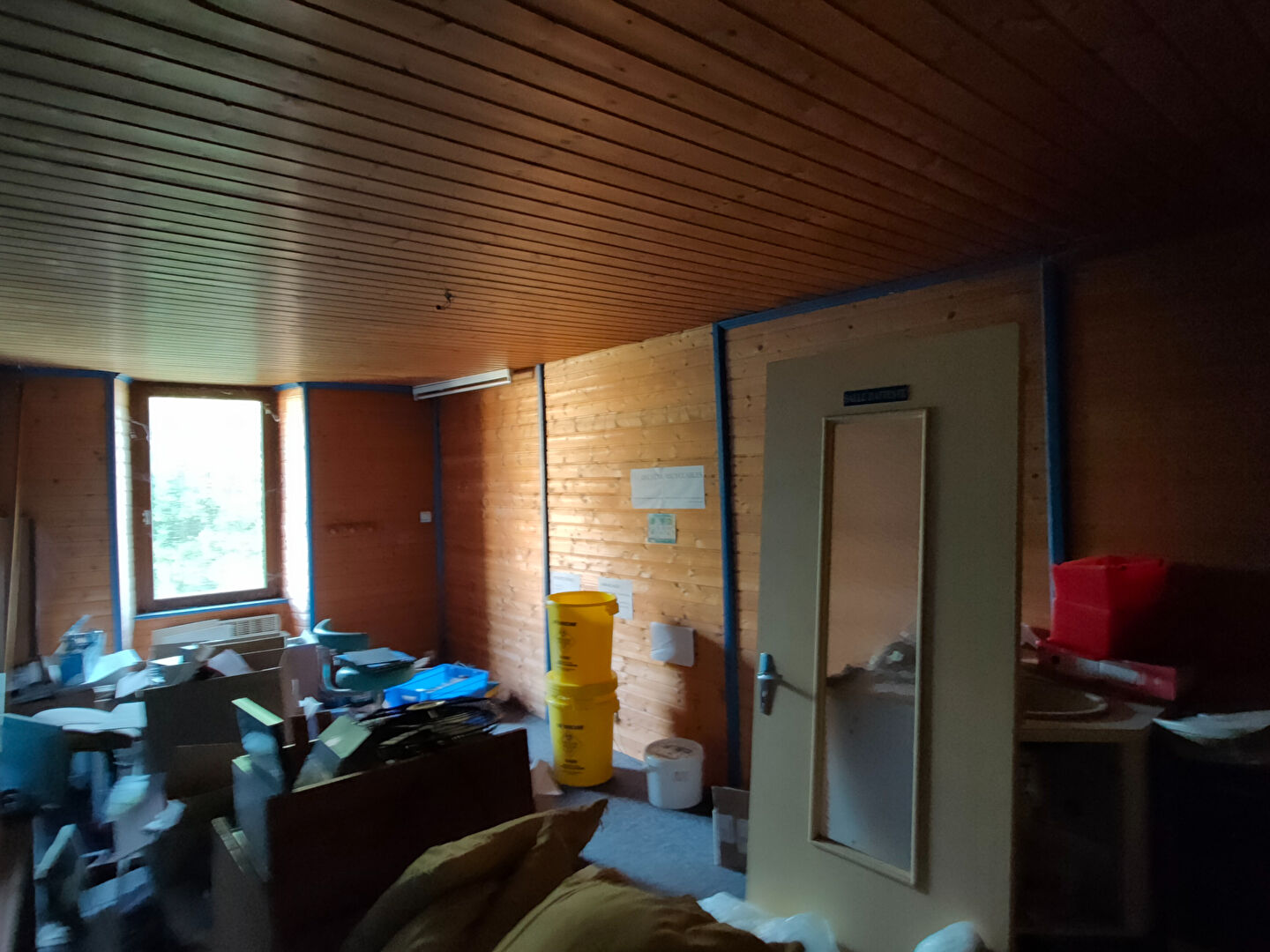 Photo ENORME POTENTIEL ! image 6/6