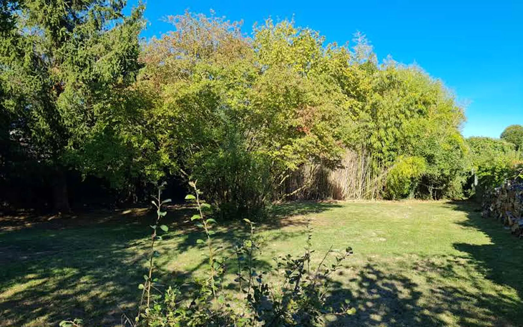 Agence immobilière de 
 IMMO 7 Jouarre - IMMO 7 
