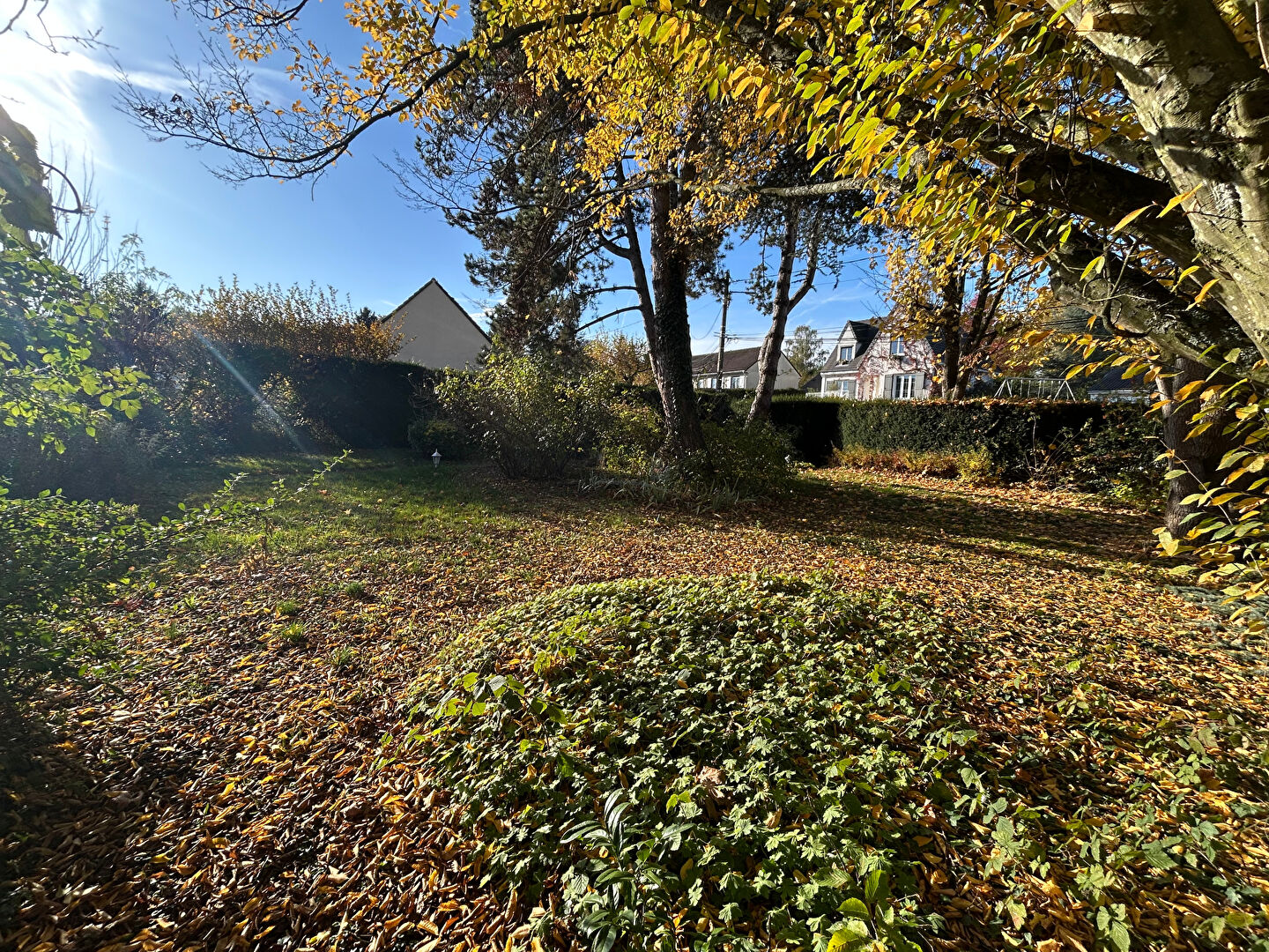 Photo Pavillon indépendant 128m², 4 chambres, 2000m² de terrain image 4/6