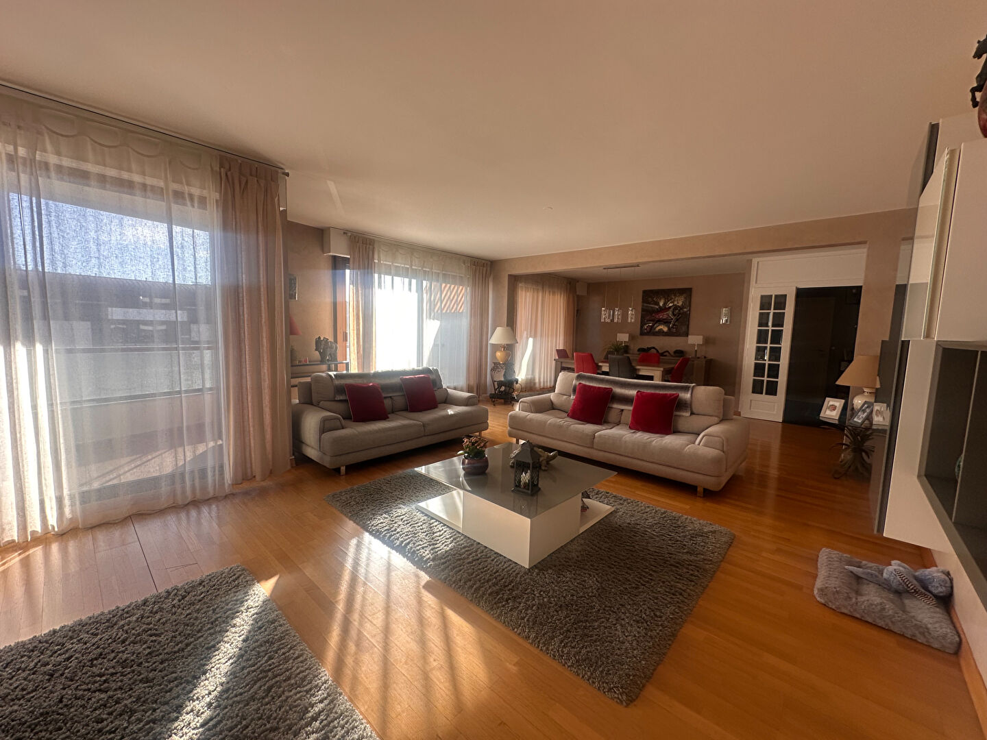 Magnifique appartement de 140 m² à vendre à Annemasse