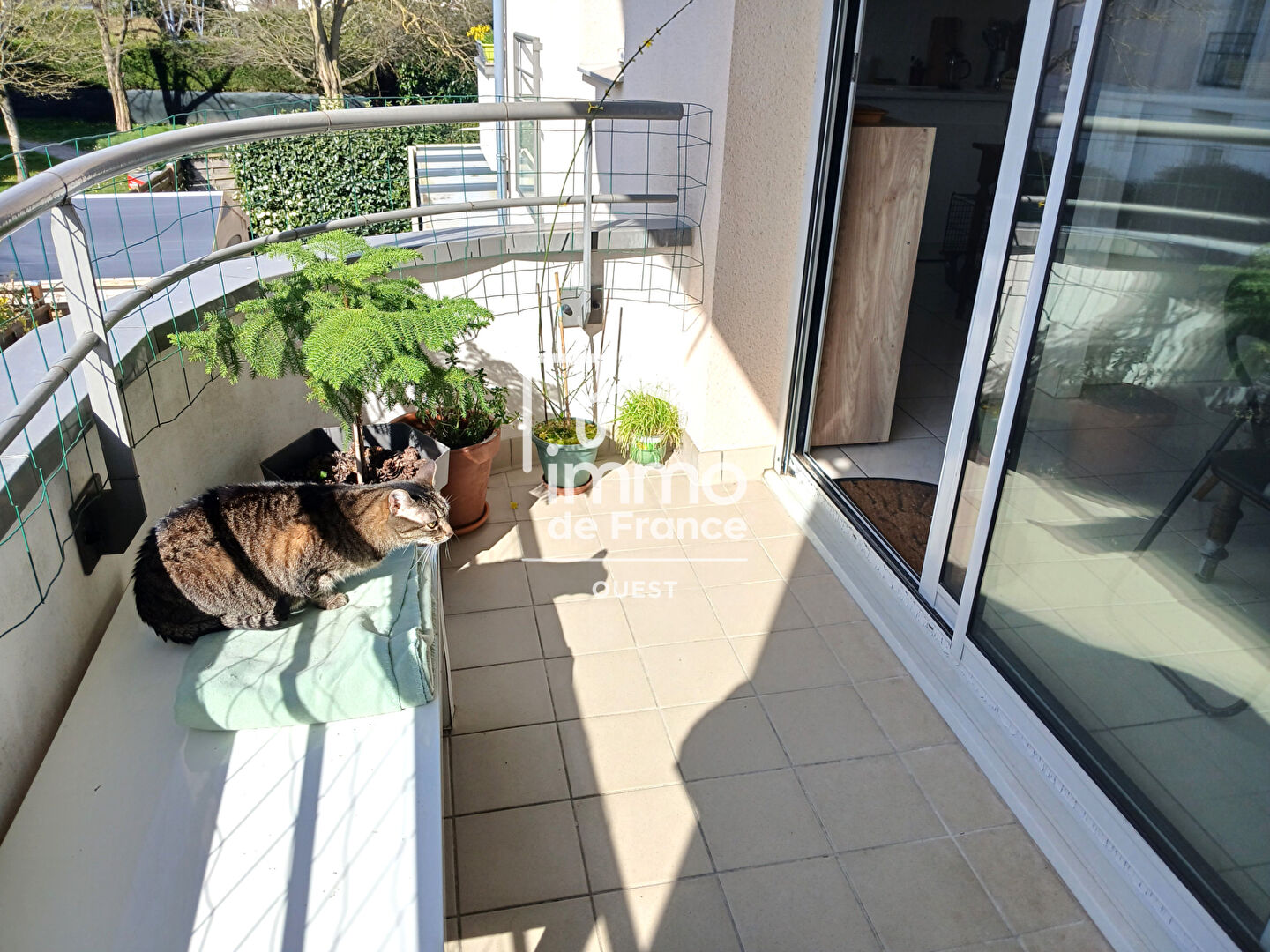 Photo MONTREUIL JUIGNE : Copropriété récente  Appartement T2  avec parking et ascenseur image 3/6