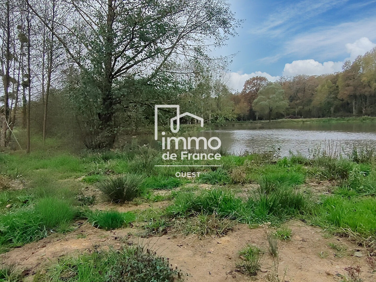 Photo Etang - ST-CHRISTOPHE-DU-LUAT image 3/5