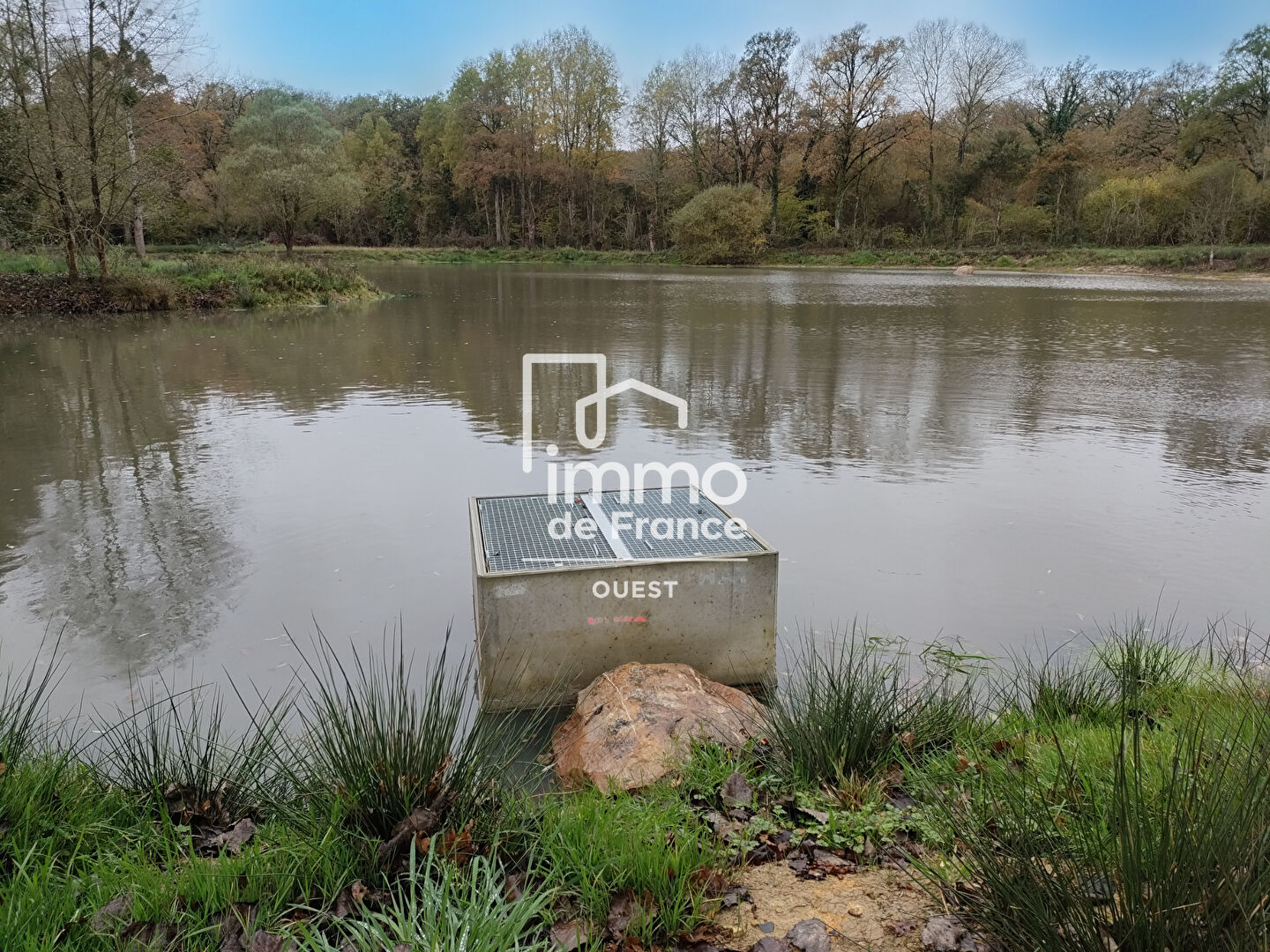 Photo Etang - ST-CHRISTOPHE-DU-LUAT image 4/5