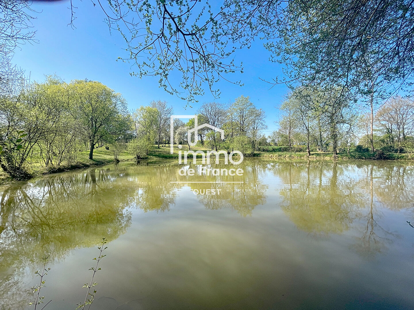 Terrain Evron 10750 m2