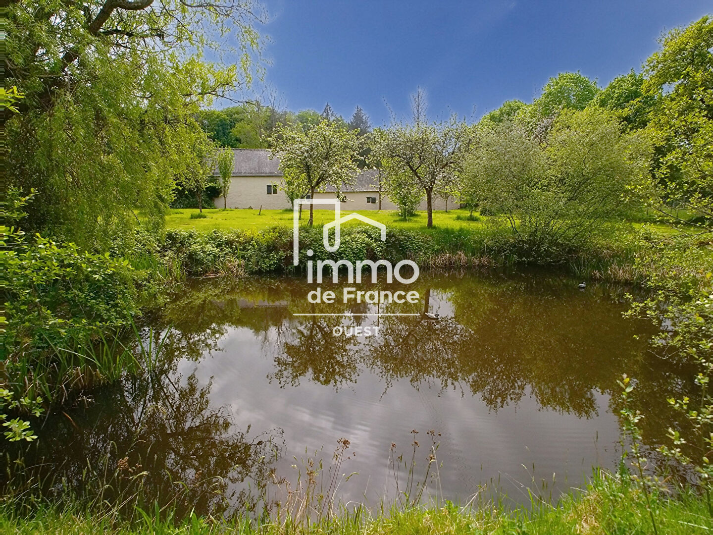 Photo Maison Saint Georges Buttavent 4 pièce(s) 130 m2 image 3/6