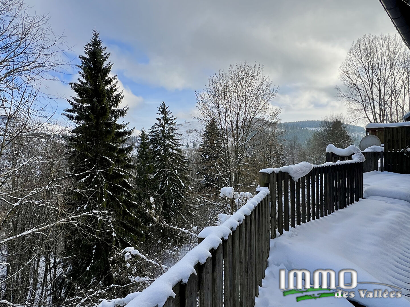 Agence immobilière de IMMO DES VALLEES