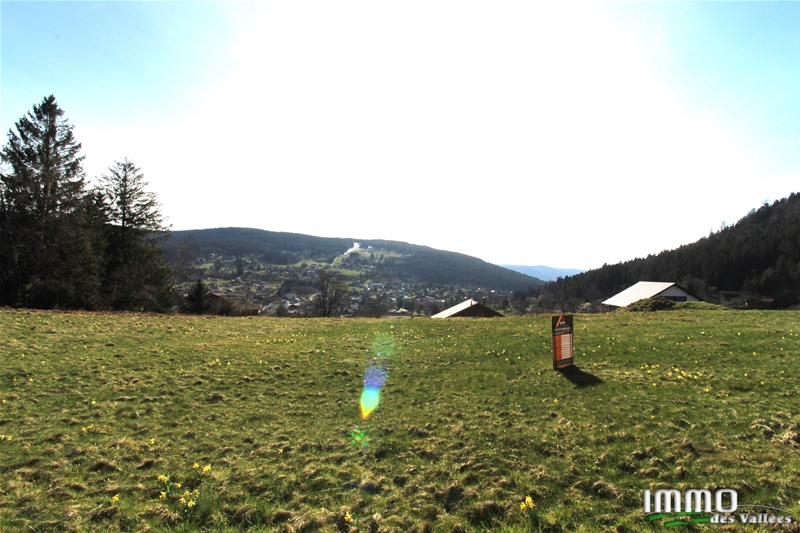 Photo Terrain - plein Sud image 6/6