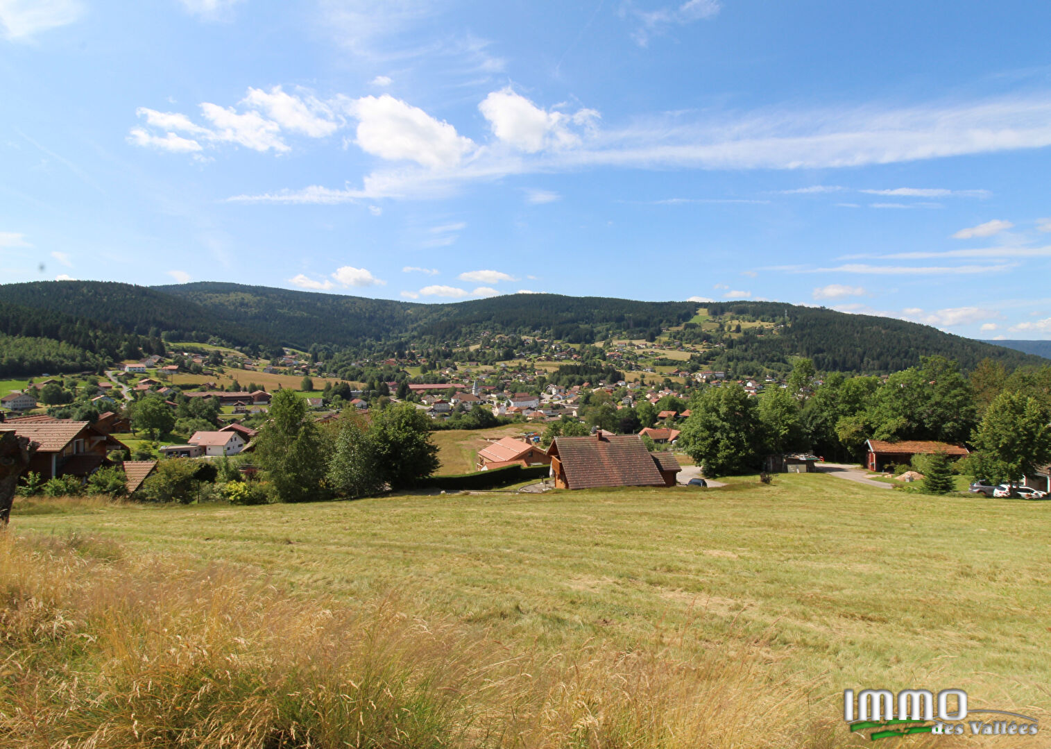 Agence immobilière de IMMO DES VALLEES