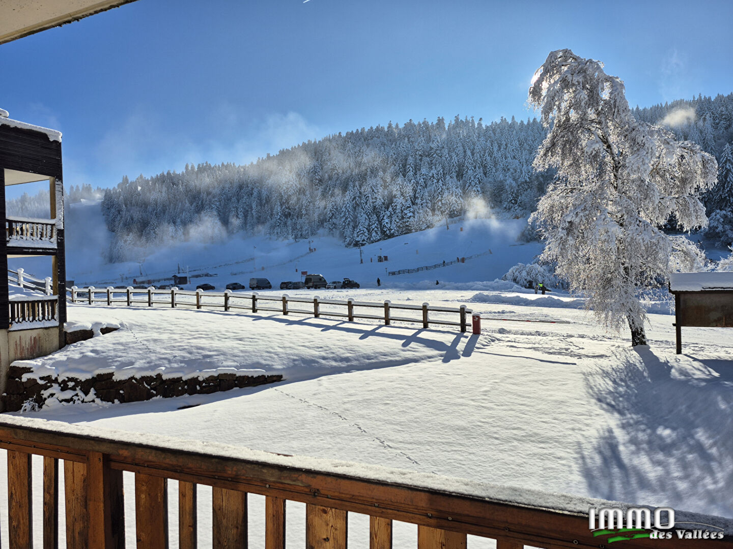 Agence immobilière de IMMO DES VALLEES