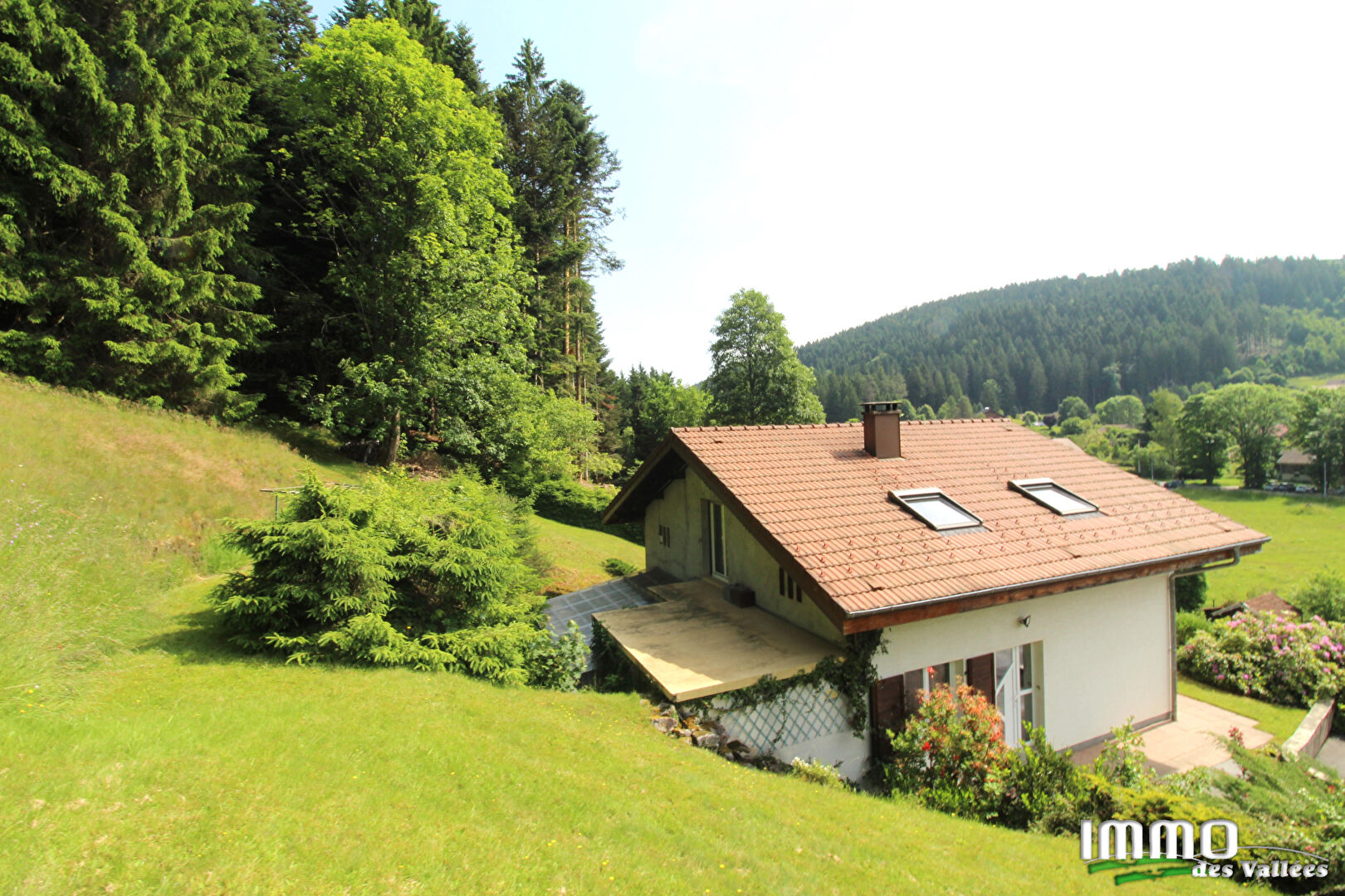 Agence immobilière de IMMO DES VALLEES