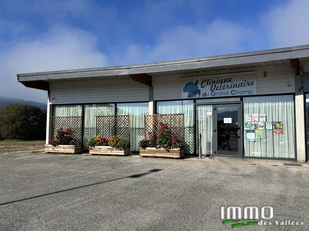 Agence immobilière de IMMO DES VALLEES