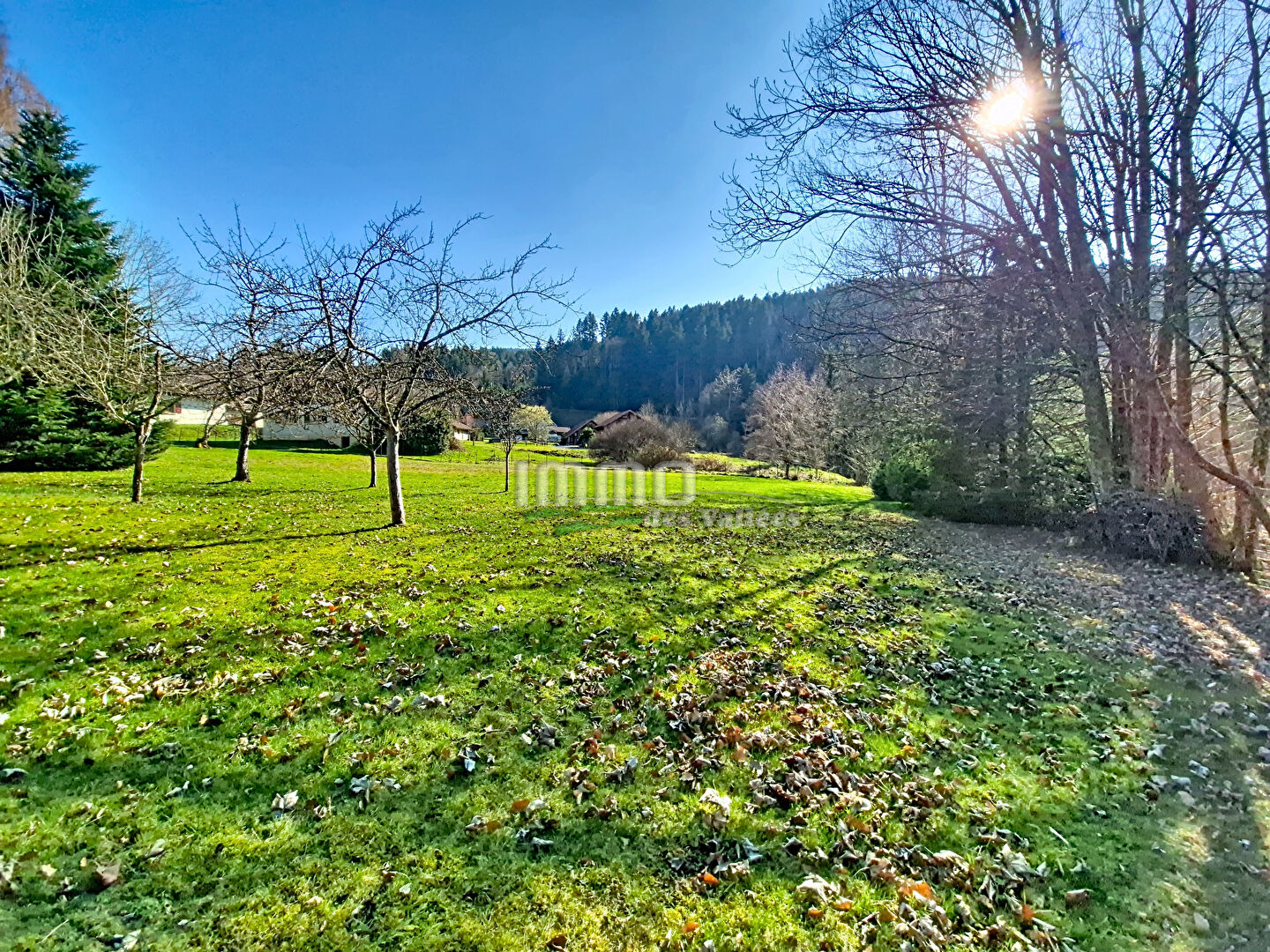 Agence immobilière de IMMO DES VALLEES