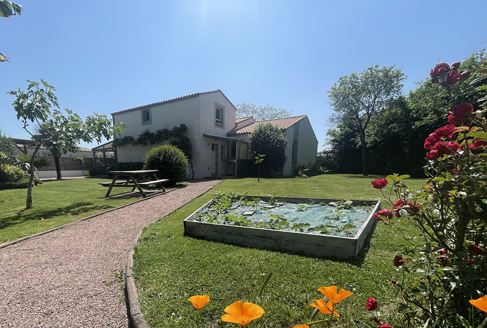 Agence immobilière de IMMO DU SUD - DG IMMO