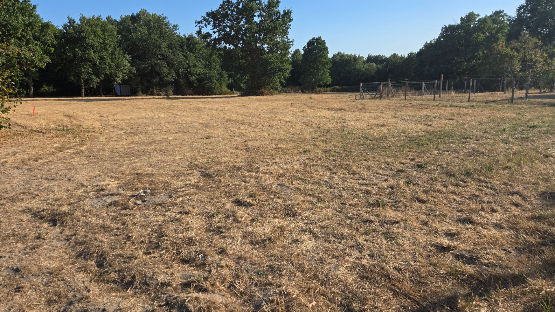 GENESTON TERRAIN DE 597 M2