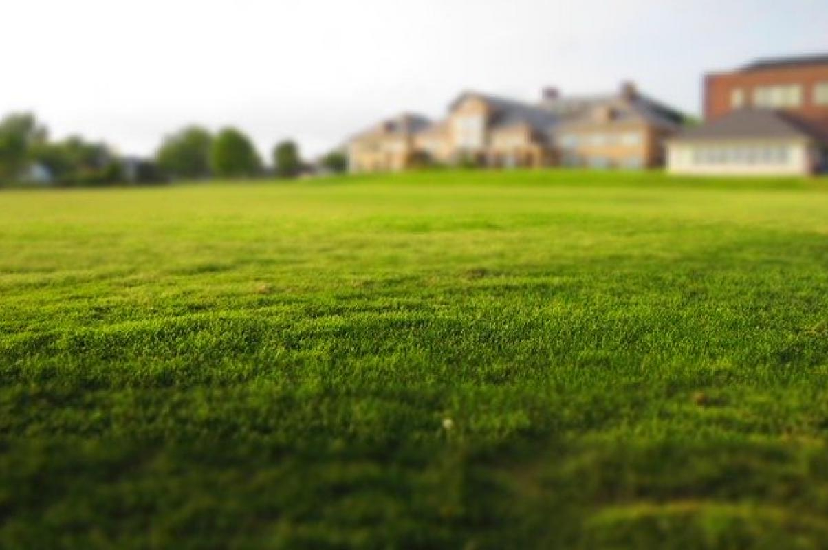 Grand terrain, belles possibilités !