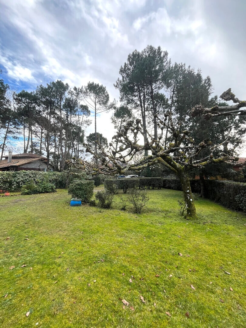 Agence immobilière de 
 IMMOSOLUTIONS - IMMOSOLUTIONS 
