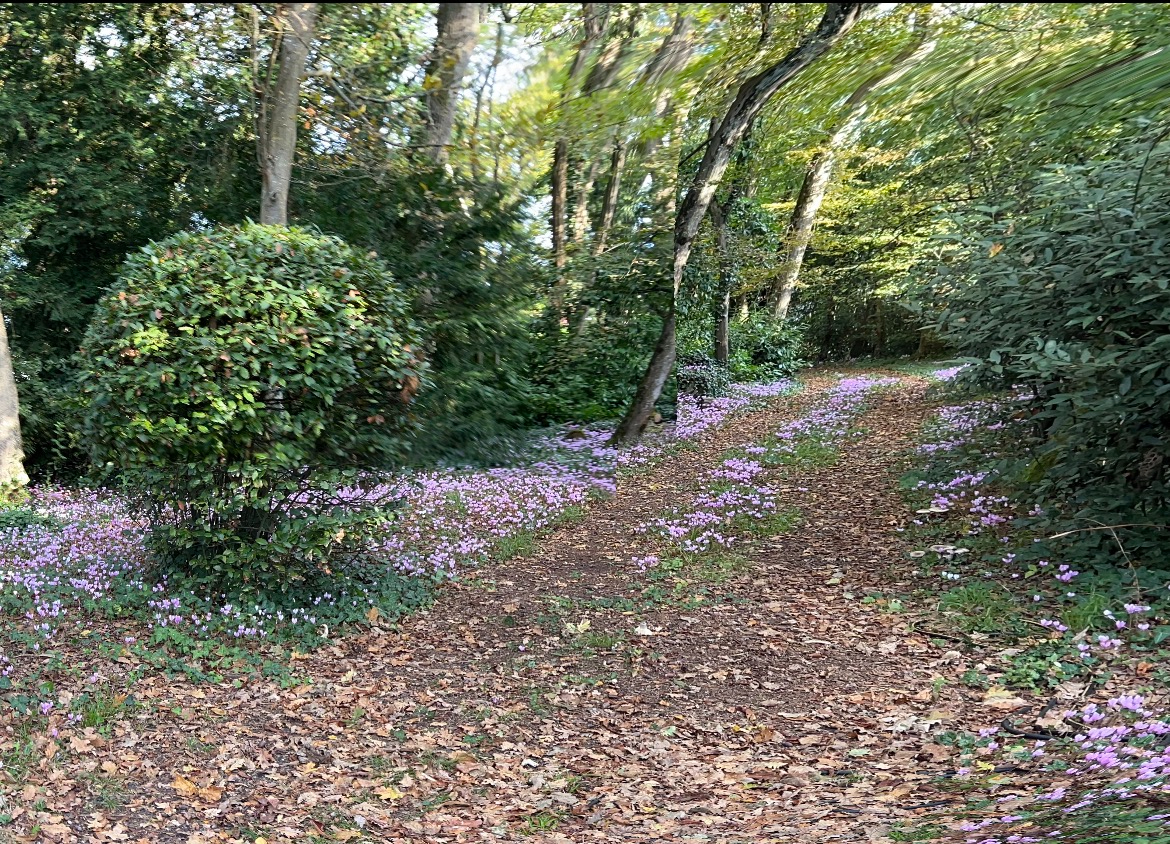 Agence immobilière de 
 IMMOSOLUTIONS - IMMOSOLUTIONS 
