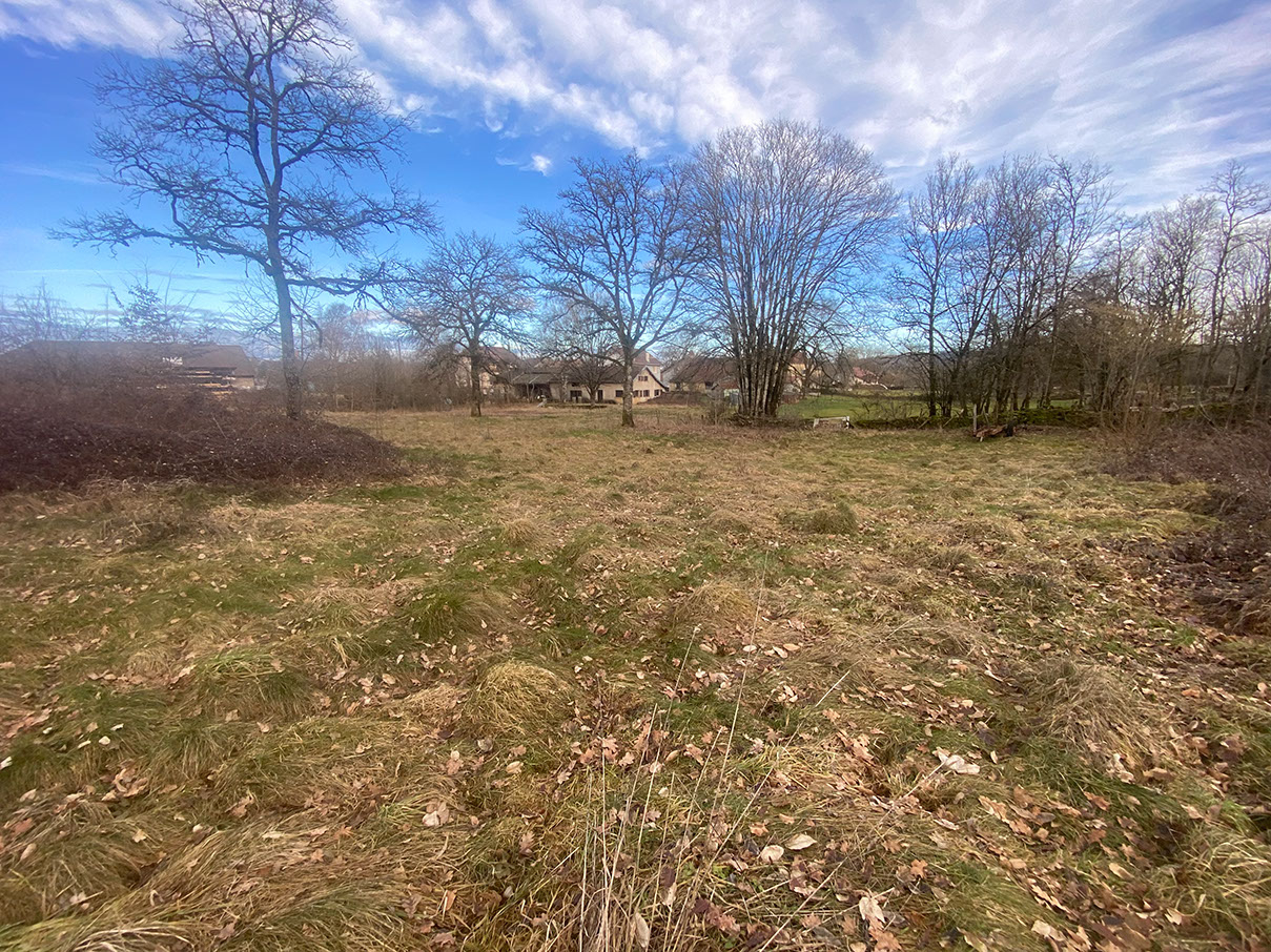 Agence immobilière de 
 Immobilac Franco Suisse - IMMOBILAC FRANCO SUISSE 
