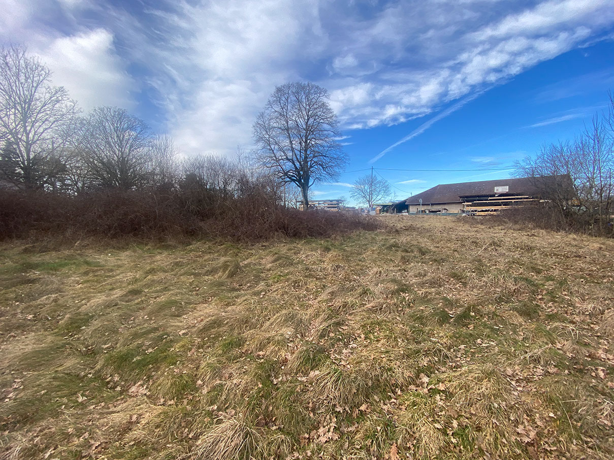 Agence immobilière de 
 Immobilac Franco Suisse - IMMOBILAC FRANCO SUISSE 
