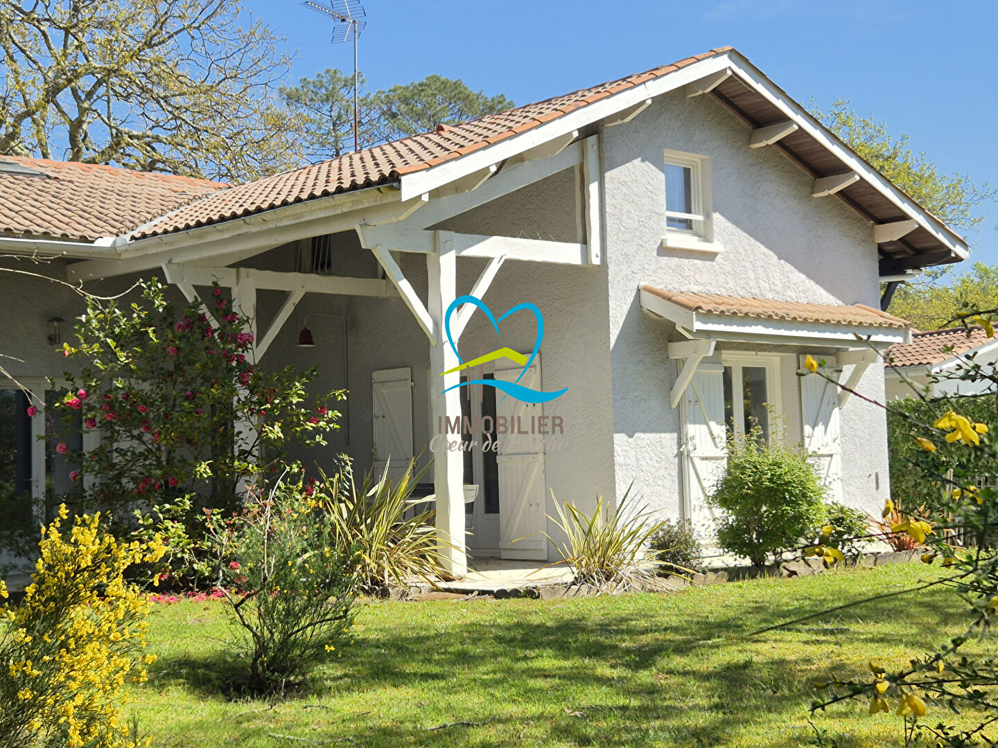 Agence immobilière de  IMMOBILIER COEUR DE BORDEAUX - Immobilier Coeur de Bassin 
