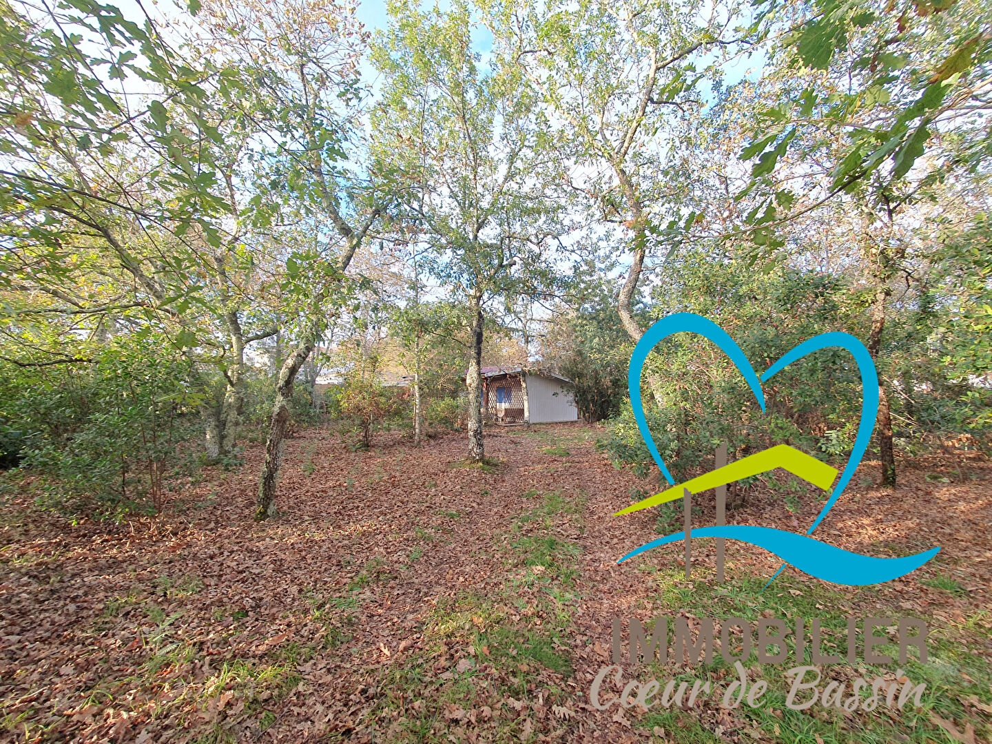 Agence immobilière de  IMMOBILIER COEUR DE BORDEAUX - Immobilier Coeur de Bassin 
