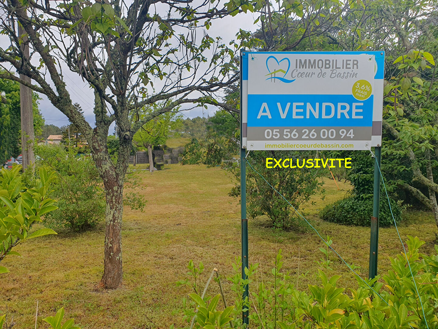 Agence immobilière de  IMMOBILIER COEUR DE BORDEAUX - Immobilier Coeur de Bassin 
