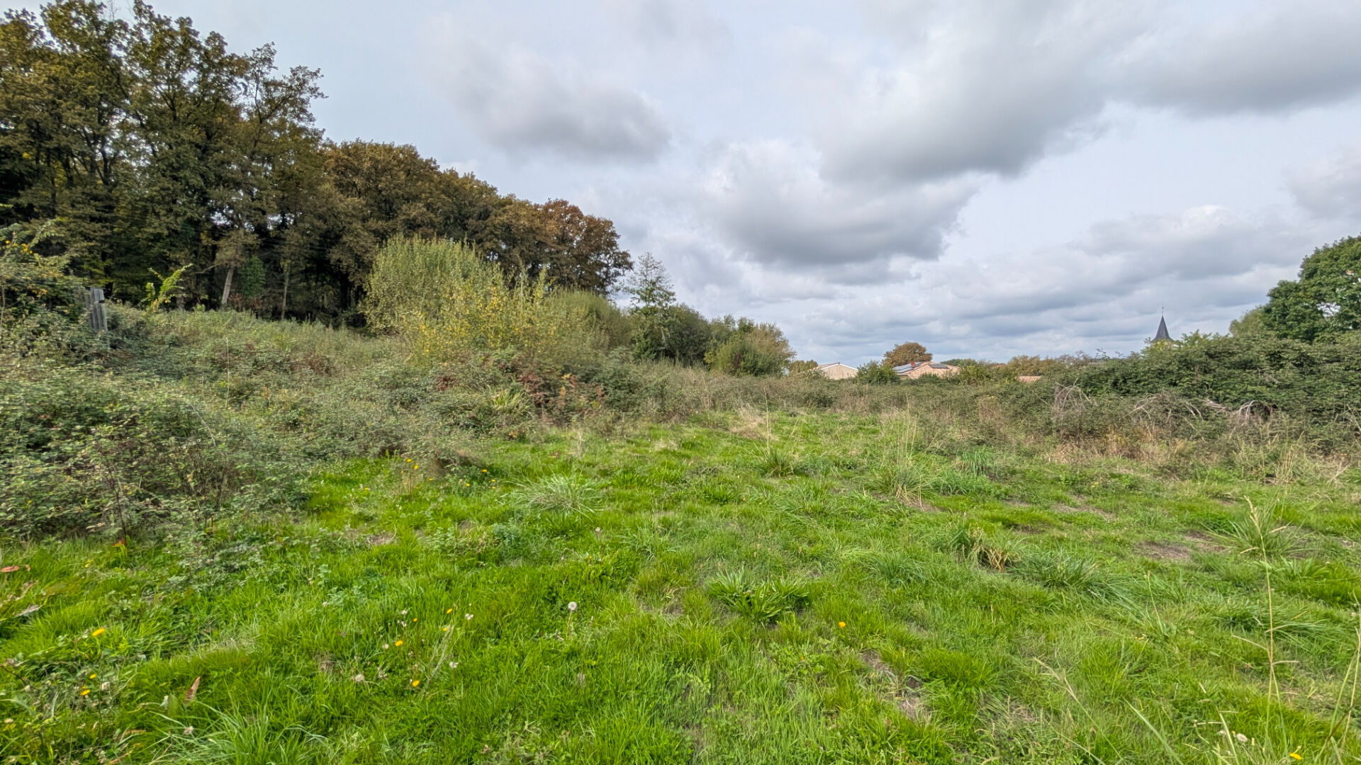 Photo Terrain 7000 m² divisible - Grenade sur l'Adour image 2/4