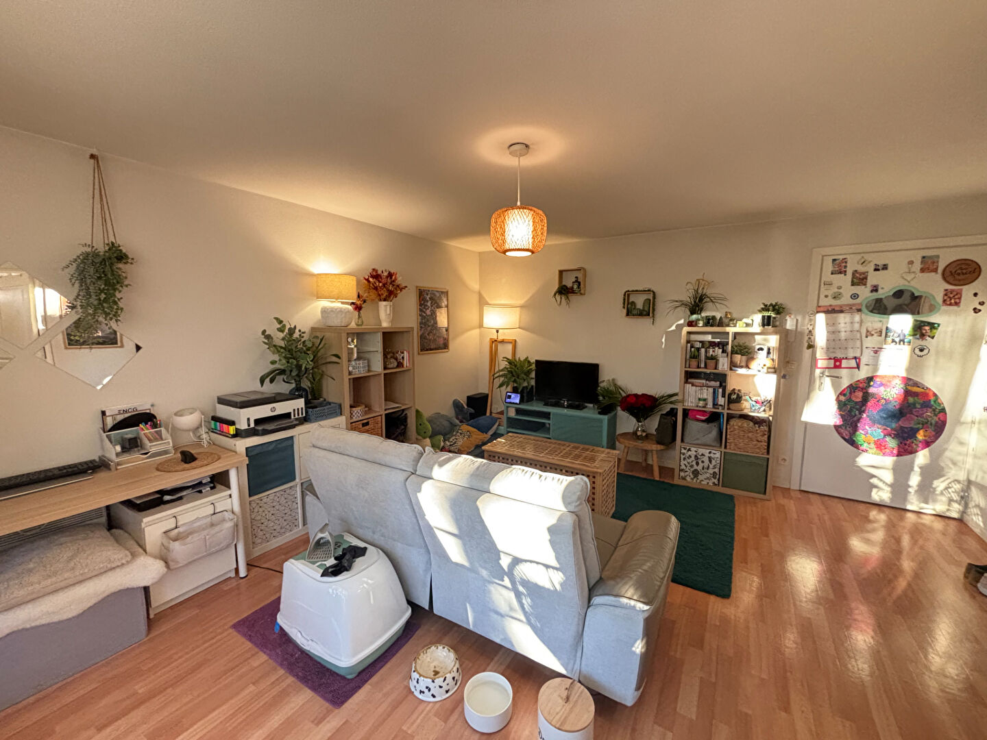 Agence immobilière de Immobilier Le Hyaric