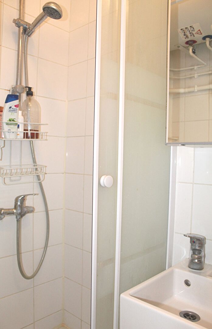 Photo PARIS 15ème entre les métros Boucicaut et Convention - Studio meublé de 15.13 m2 image 5/6