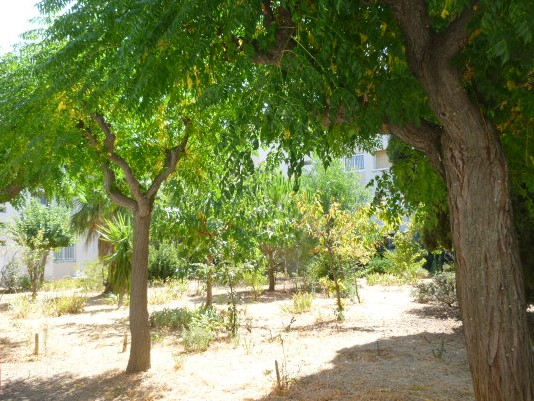 Vente Appartement de 3 pièces 63 m² - HYERES 83400 | IMOGROUP HYERES - IMOGROUP photo3