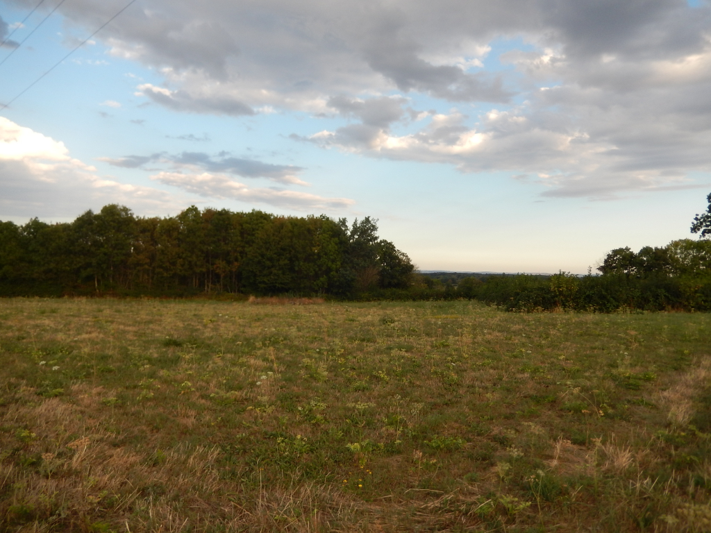 Vente Terrain de 2608 m² - ANTULLY 71400 | IMOGROUP LE CREUSOT - IMOGROUP photo3